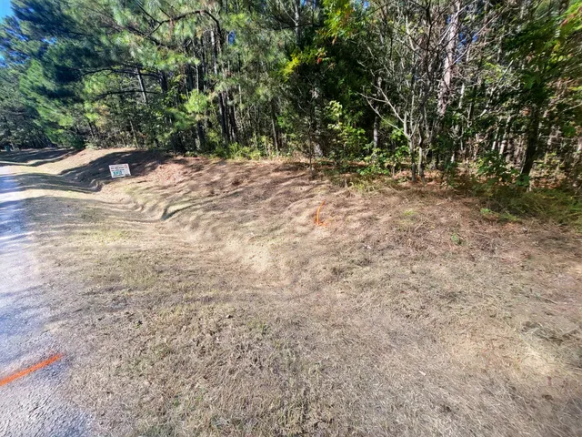 a view of a yard with trees