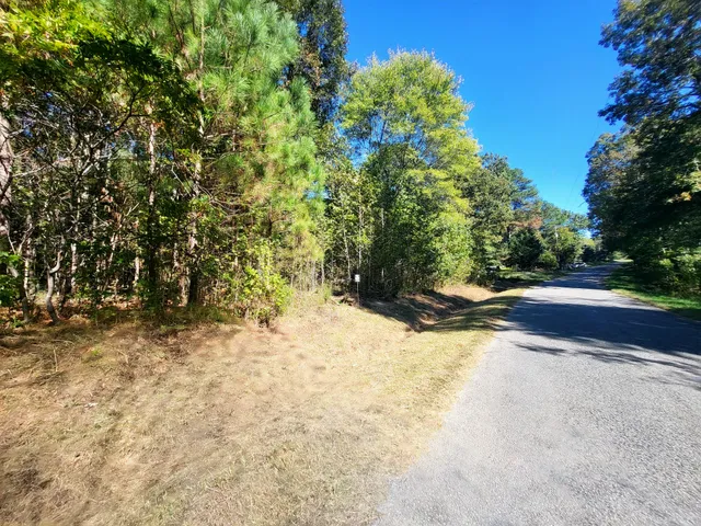 a view of a yard with a tree