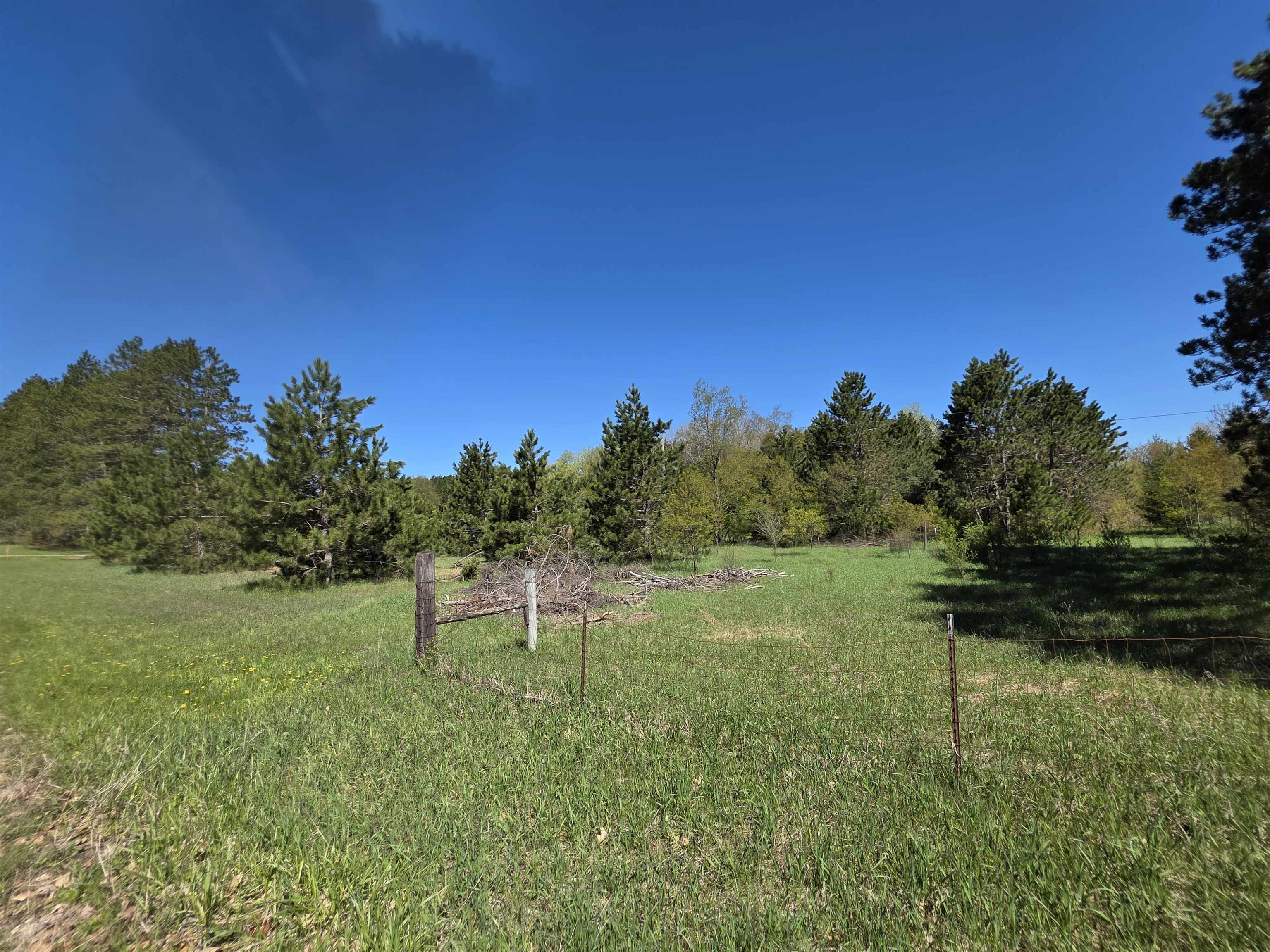 Vl 2-acres Arnold Road Manton, MI 49663 - Photo 2 of 15