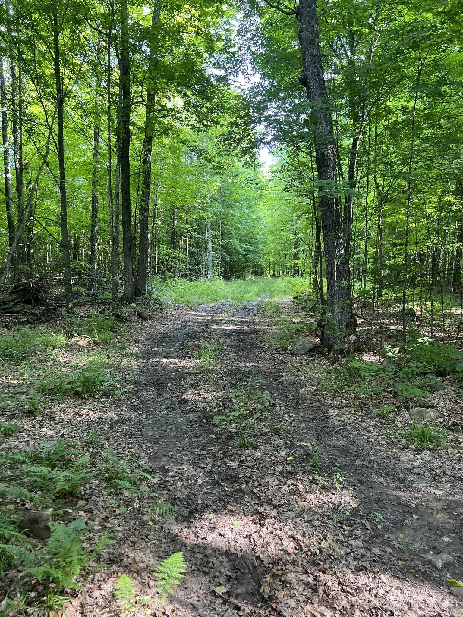 Tbd Passamani Road Iron River, MI 49935 - Photo 21 of 41