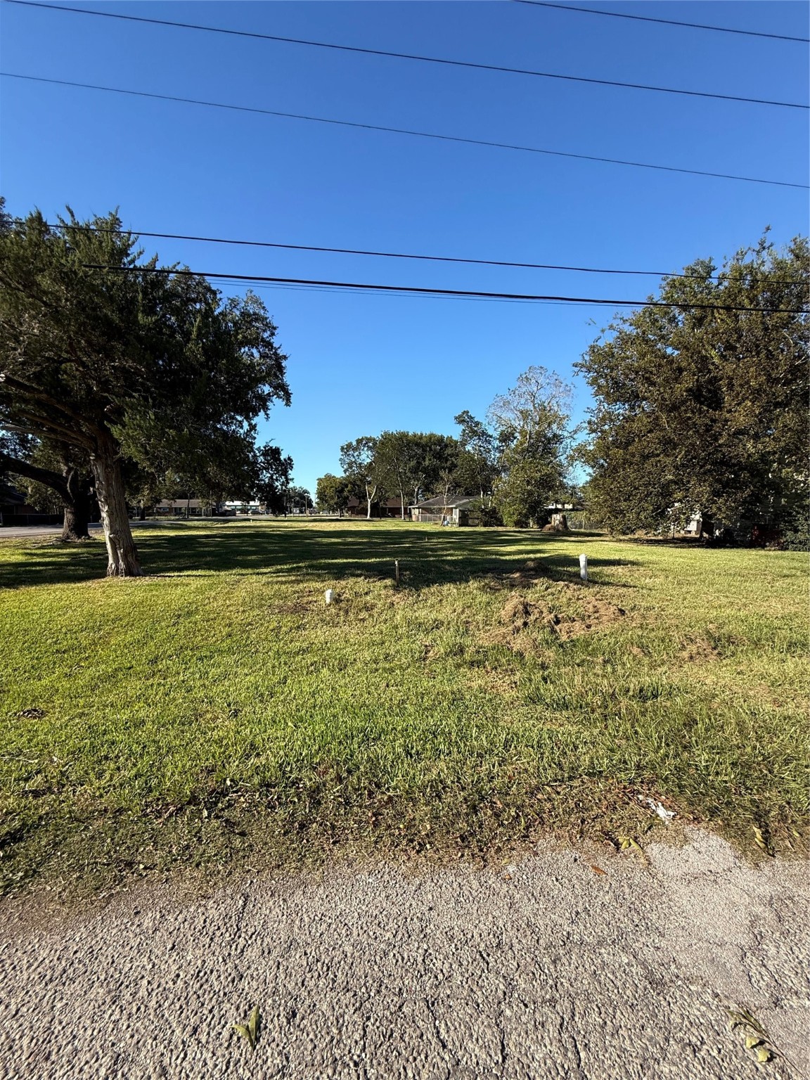 203 North Orange Street Sweeny, TX 77480 - Photo 3 of 4 a view of outdoor space with swimming pool and green space