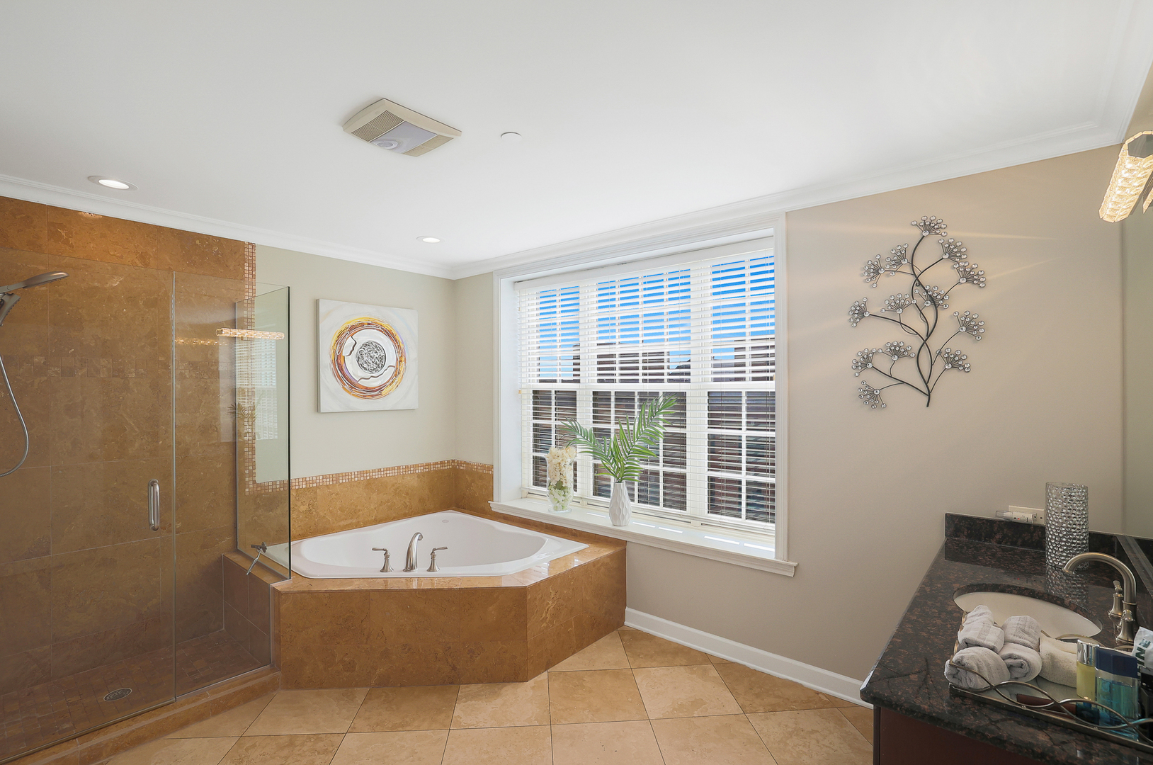 50 North Plum Grove Road, Unit 511E Palatine, IL 60067 - Photo 19 of 28 a view of kitchen with tub and windows
