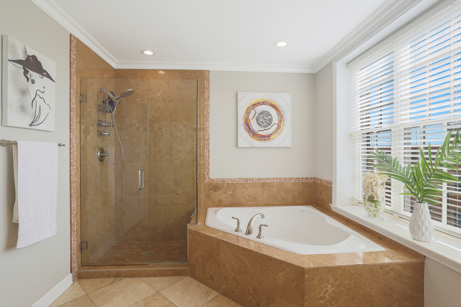 50 North Plum Grove Road, Unit 511E Palatine, IL 60067 - Photo 20 of 28 a bathroom with a bathtub and a shower