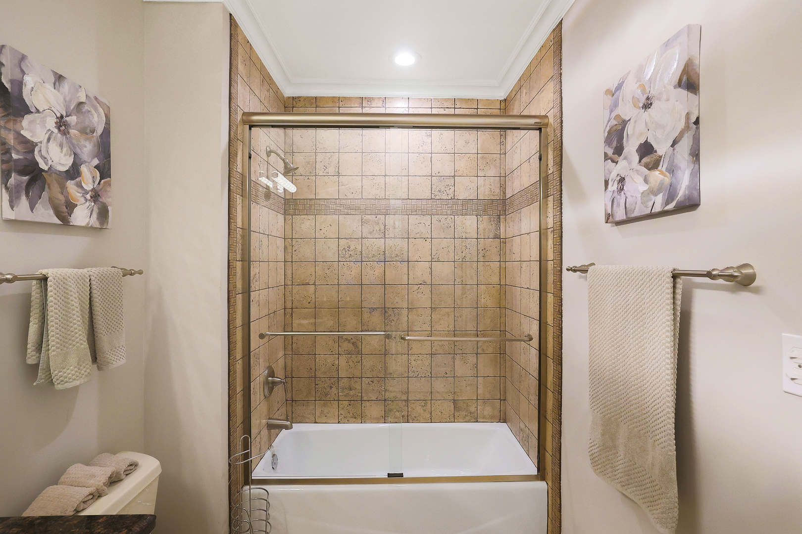 50 North Plum Grove Road, Unit 511E Palatine, IL 60067 - Photo 24 of 28 a bathroom with a shower and a toilet