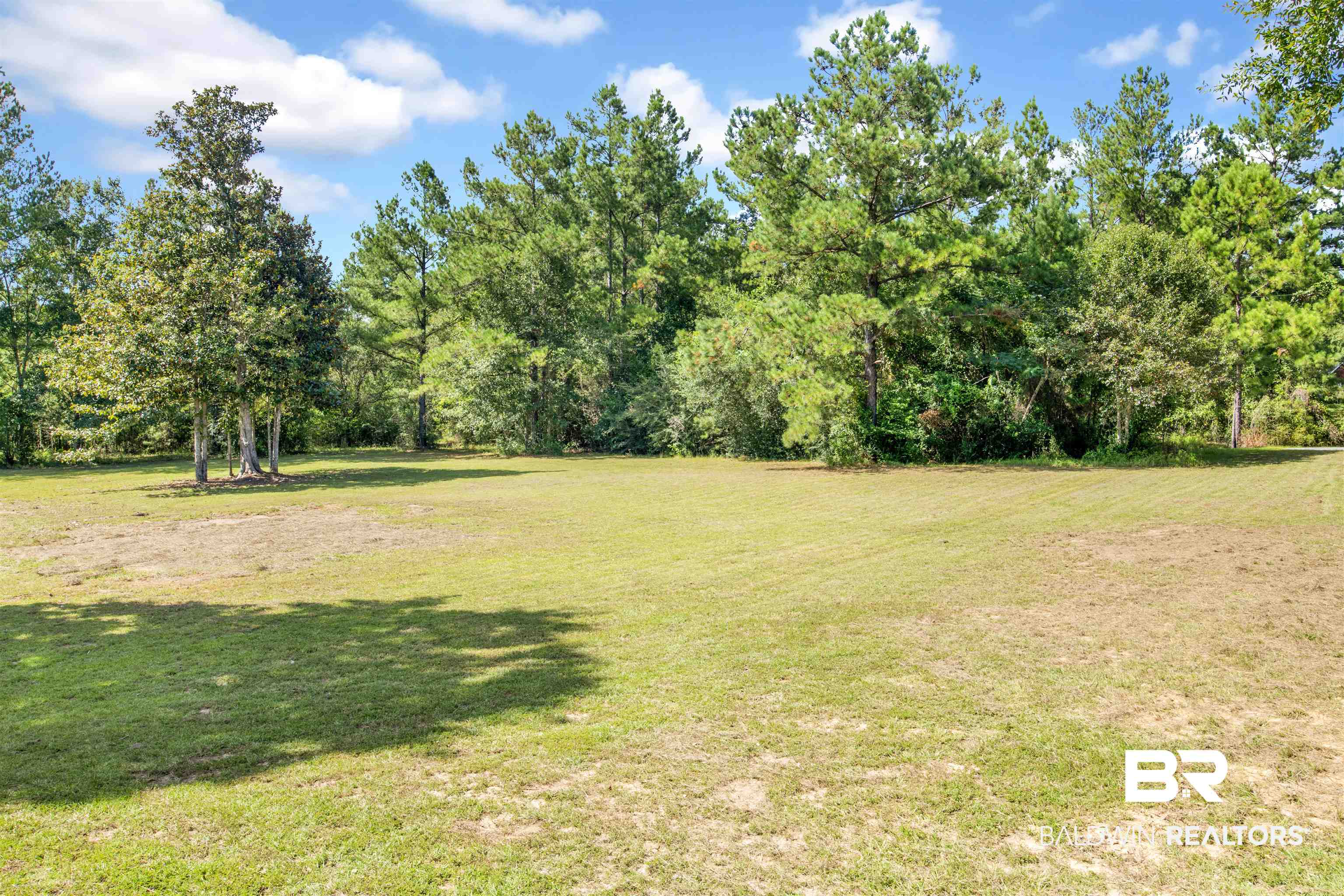 13880 Harley Court Stapleton, AL 36578 - Photo 5 of 20