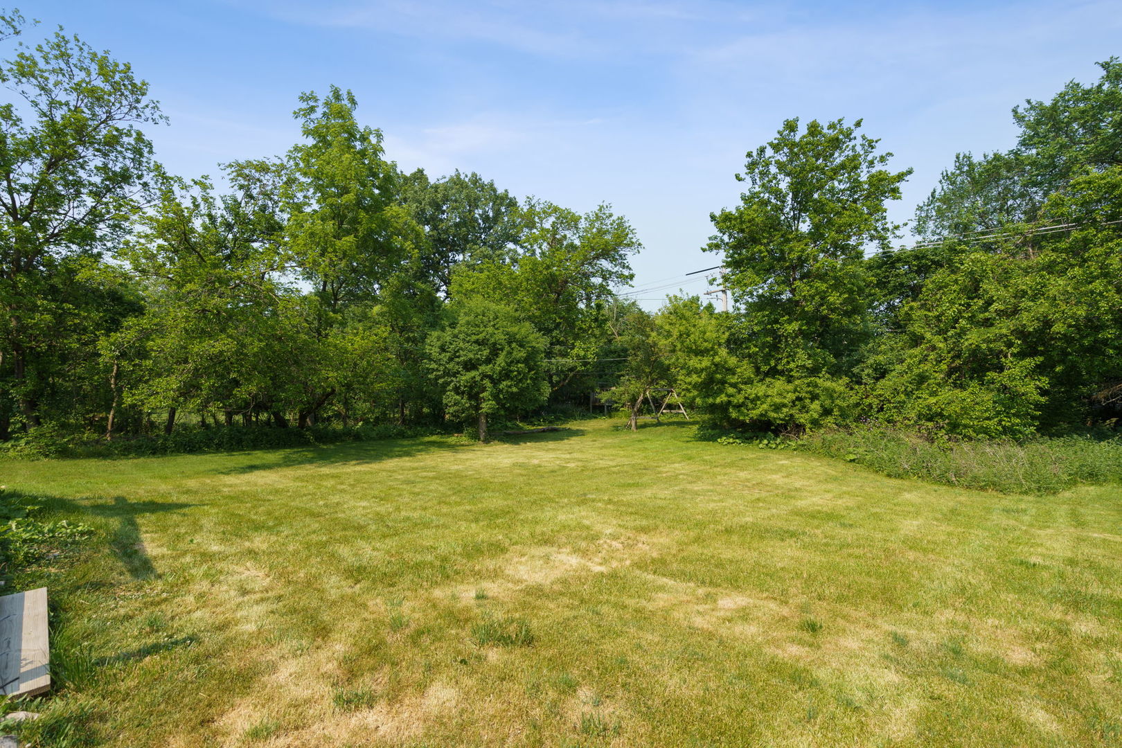 1741 Oak Lane Road Flossmoor, IL 60422 - Photo 26 of 30 a view of a yard with a trees