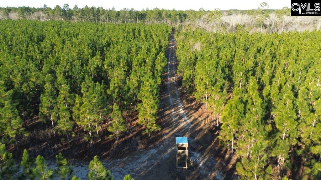 Holstein Road Wagener, SC 29164 - Photo 12 of 26