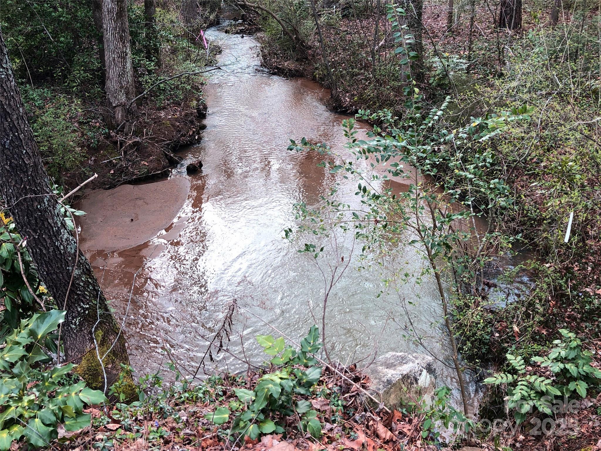 91 Ford Ridge Lane Columbus, NC 28722 - Photo 11 of 18 a view of a yard with plants and large trees