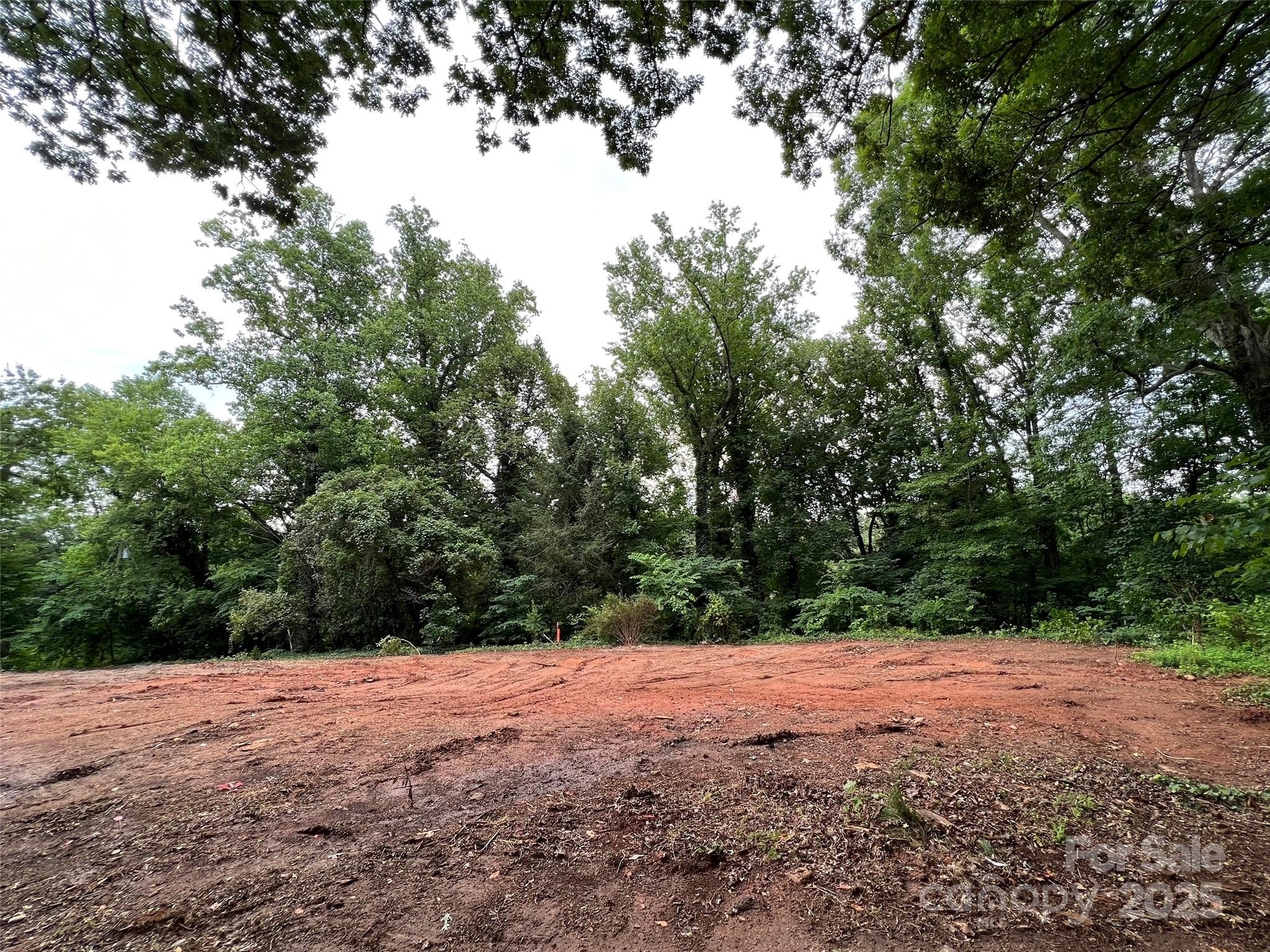 91 Ford Ridge Lane Columbus, NC 28722 - Photo 18 of 18 a view of outdoor space and yard