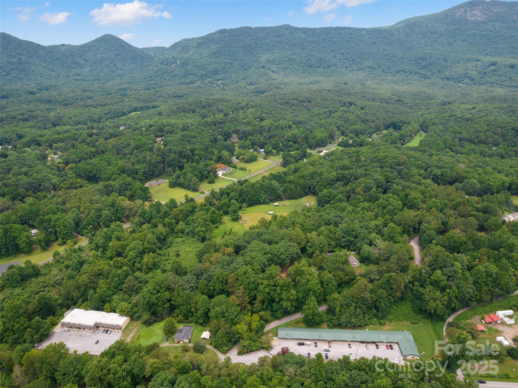 91 Ford Ridge Lane Columbus, NC 28722 - Photo 5 of 18 a view of a lush green field
