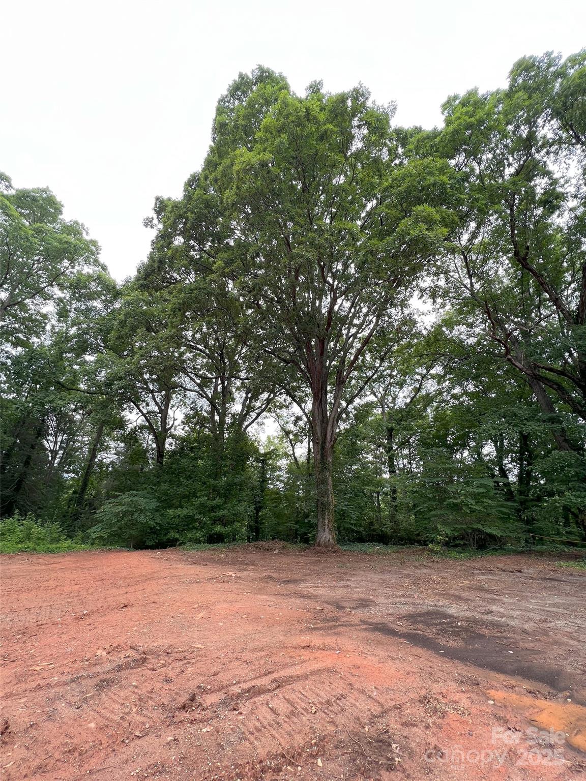 91 Ford Ridge Lane Columbus, NC 28722 - Photo 7 of 18 a view of outdoor space and yard
