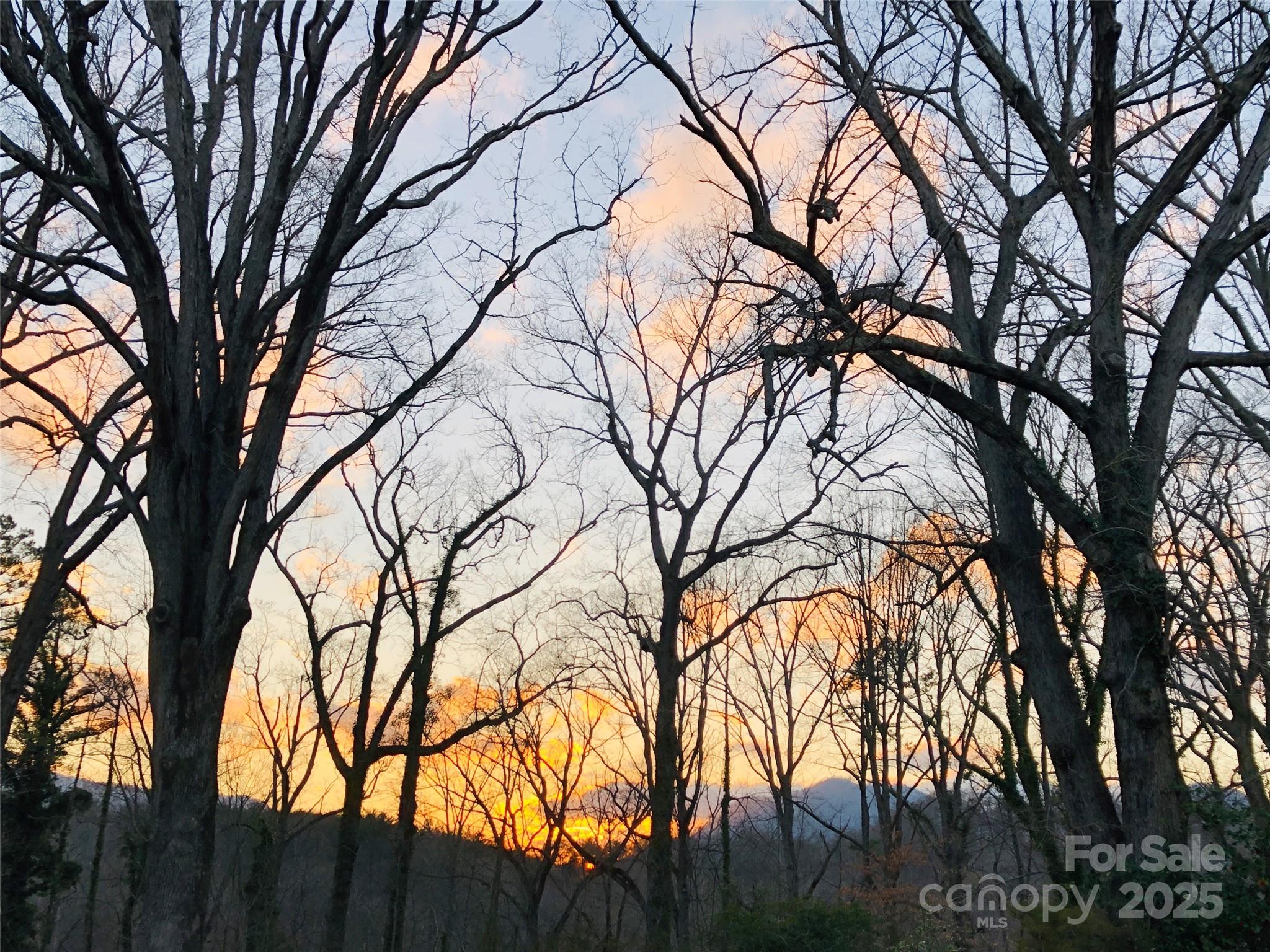 91 Ford Ridge Lane Columbus, NC 28722 - Photo 10 of 18 a backyard of a house with lots of trees