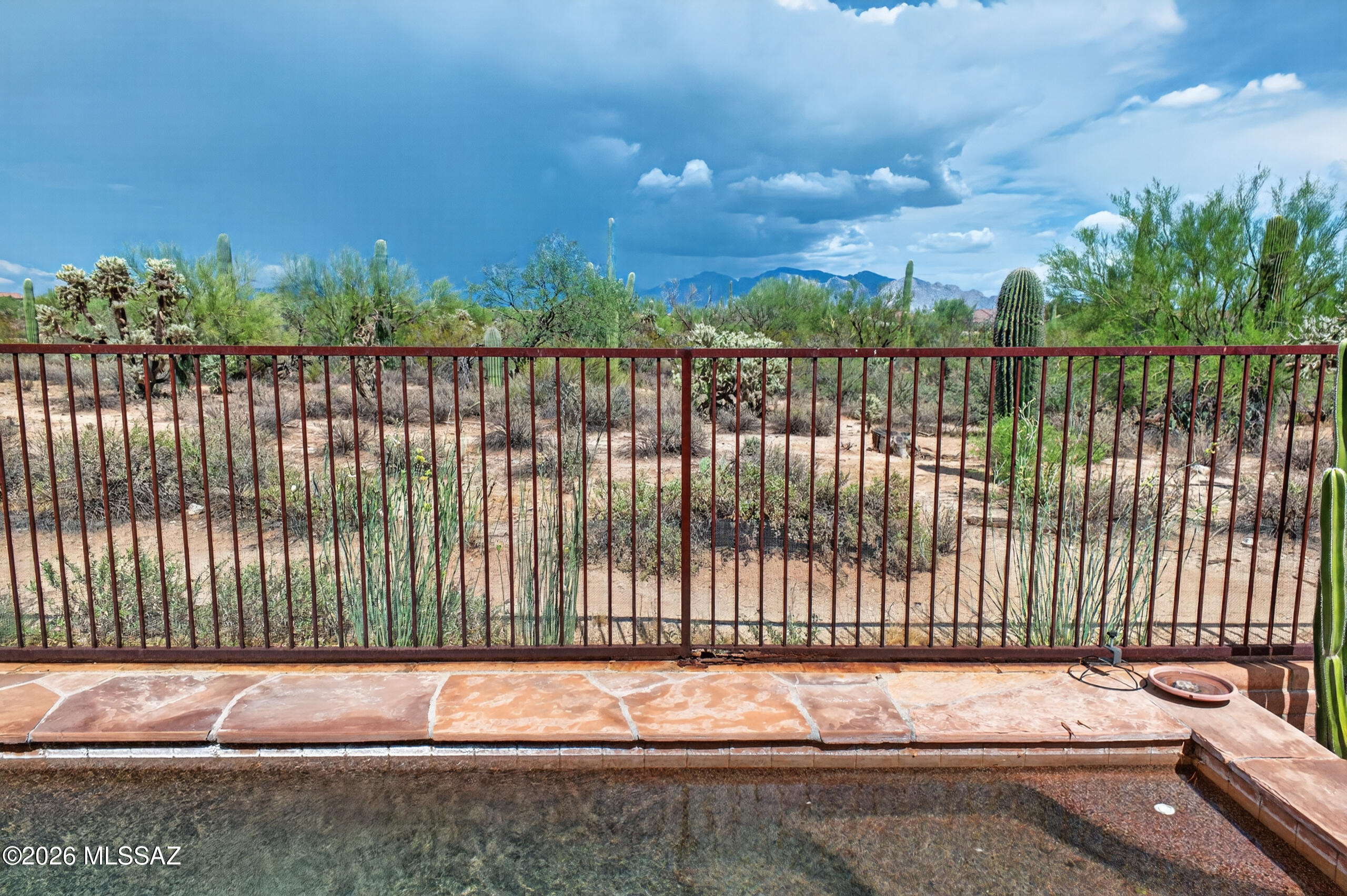 11370 North Moon Ranch Place Marana, AZ 85658 - Photo 36 of 42 Backyard