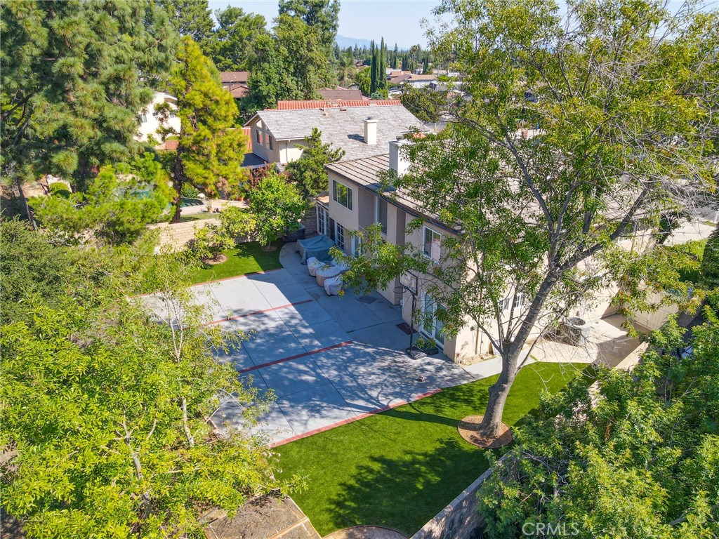 19259 Kenya Street Porter Ranch, CA 91326 - Photo 2 of 31 a view of a yard with plants and large trees