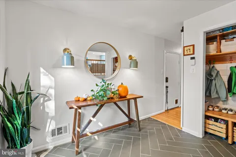 a room with furniture and a potted plant