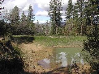 1750 Howell Mountain Road Angwin, CA 94508 - Photo 8 of 10 Gallery Image 8