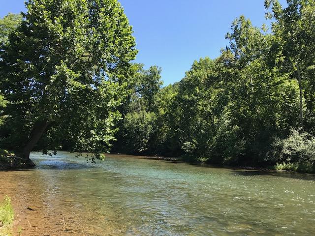 2131 Evergreen Road Covington, VA 24426 - Photo 11 of 56 Jackson River!