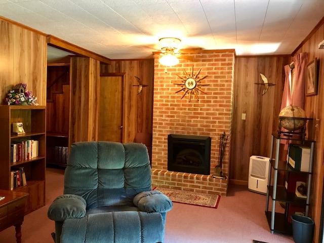 2131 Evergreen Road Covington, VA 24426 - Photo 38 of 56 Fam Room w/ FP