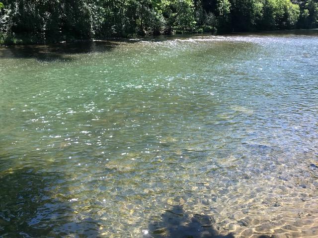2131 Evergreen Road Covington, VA 24426 - Photo 9 of 56 Jackson River