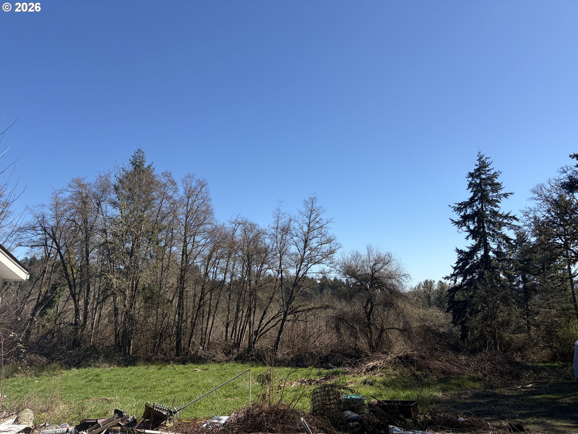 24710 Judy Lane Monroe, OR 97456 - Photo 5 of 14 a view of a back yard