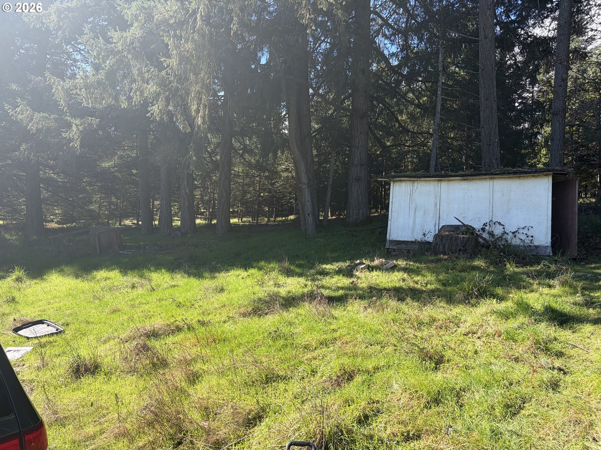 24710 Judy Lane Monroe, OR 97456 - Photo 6 of 14