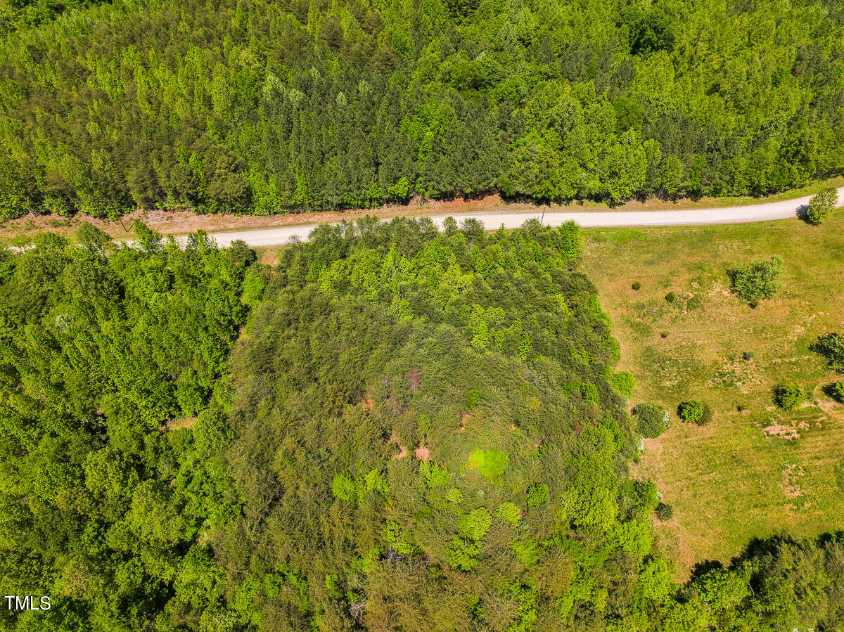 Lot-4-00 Wilson Road Providence, NC 27315 - Photo 10 of 38 Caswell Co. NC -Wilsons Ridge-Lot 4-10