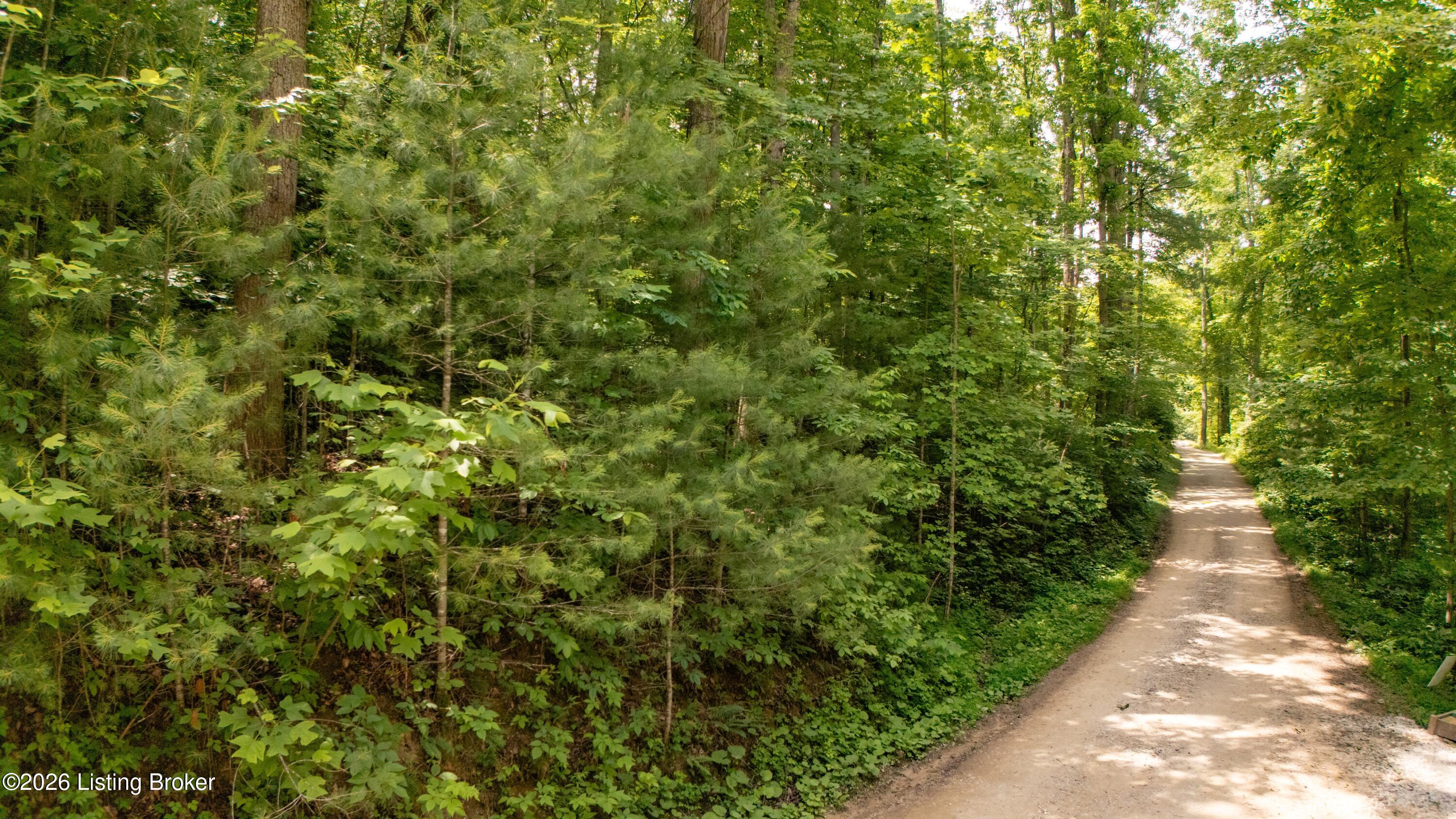 4 Black Bear Ridge Road Campton, KY 41301 - Photo 8 of 10 Black Bear Ridge Rd