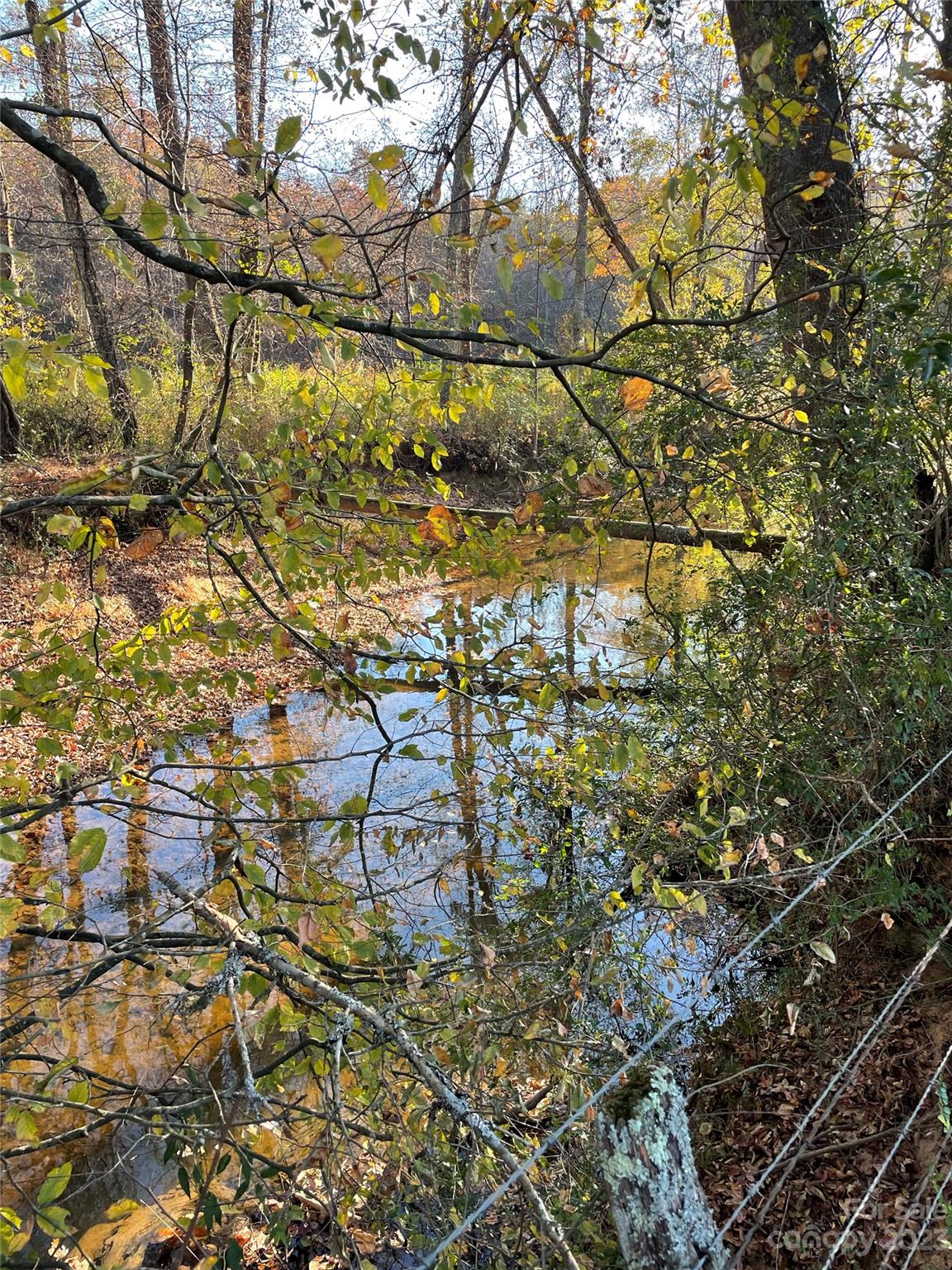 5 Morningstar Lake Road Forest City, NC 28043 - Photo 7 of 9
