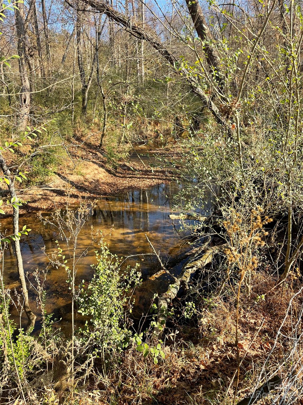5 Morningstar Lake Road Forest City, NC 28043 - Photo 9 of 9