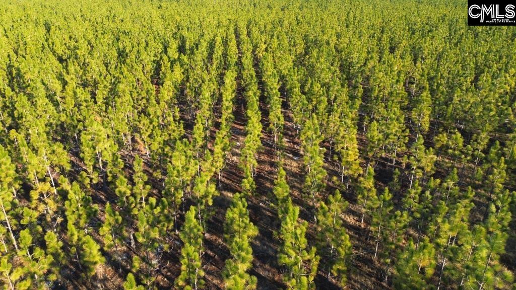 Holstein Road Wagener, SC 29164 - Photo 17 of 26