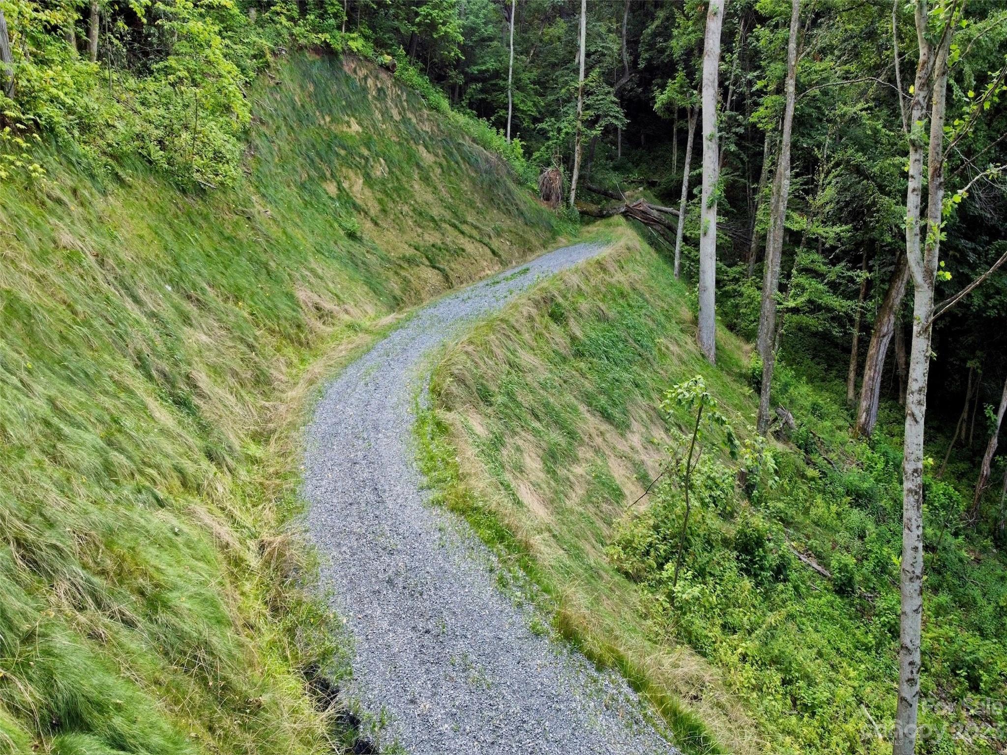 0 Short Ridge Lane Clyde, NC 28721 - Photo 3 of 11 a view of a garden with a pathway