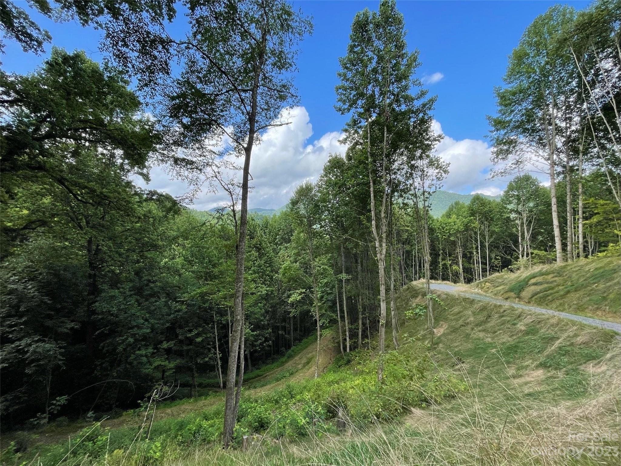 0 Short Ridge Lane Clyde, NC 28721 - Photo 6 of 11 a view of outdoor space and yard