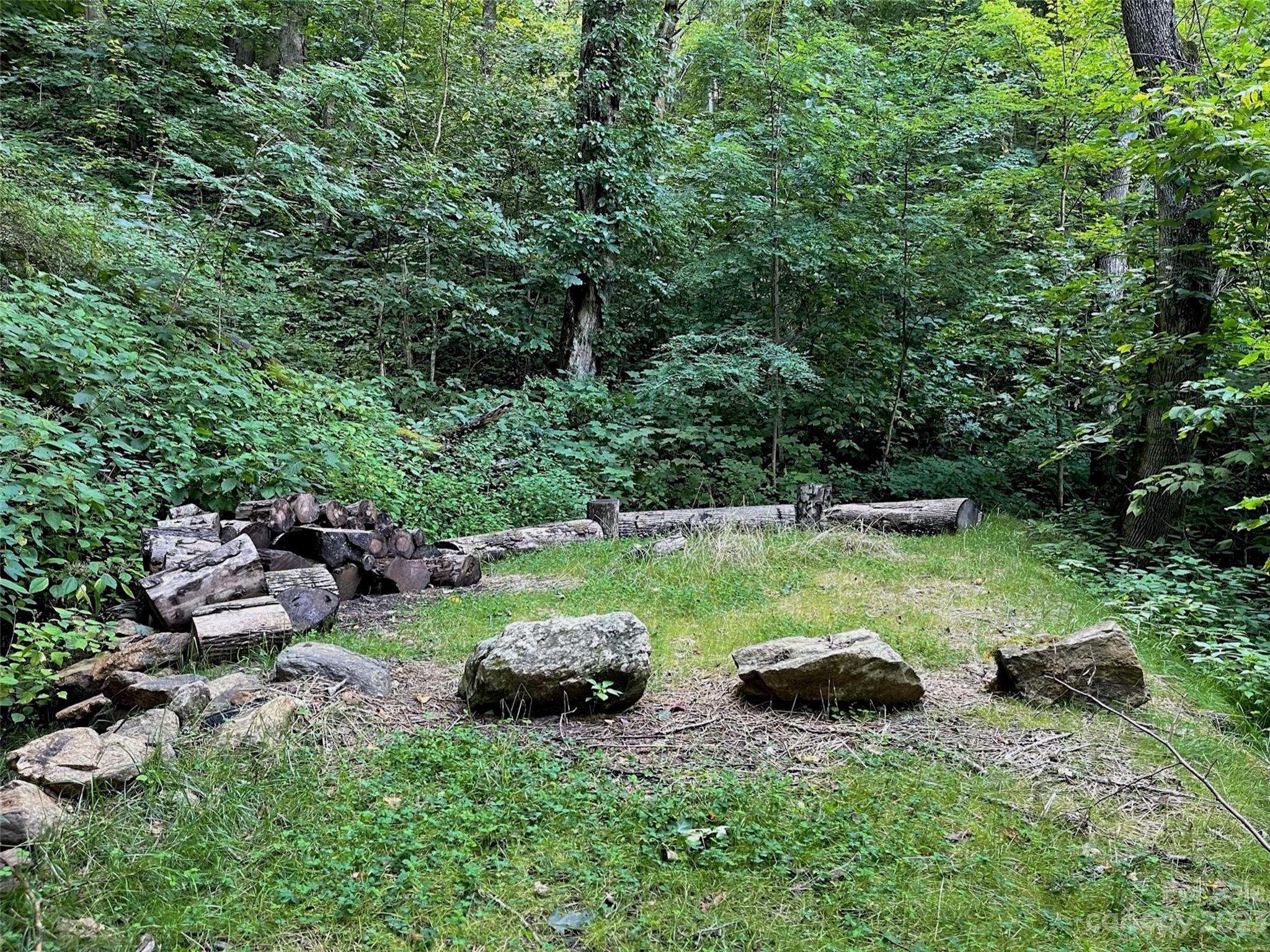 0 Short Ridge Lane Clyde, NC 28721 - Photo 10 of 11 a view of a garden with lawn chairs