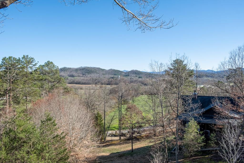 66 Mistletoe Ridge Murphy, NC 28906 - Photo 58 of 74