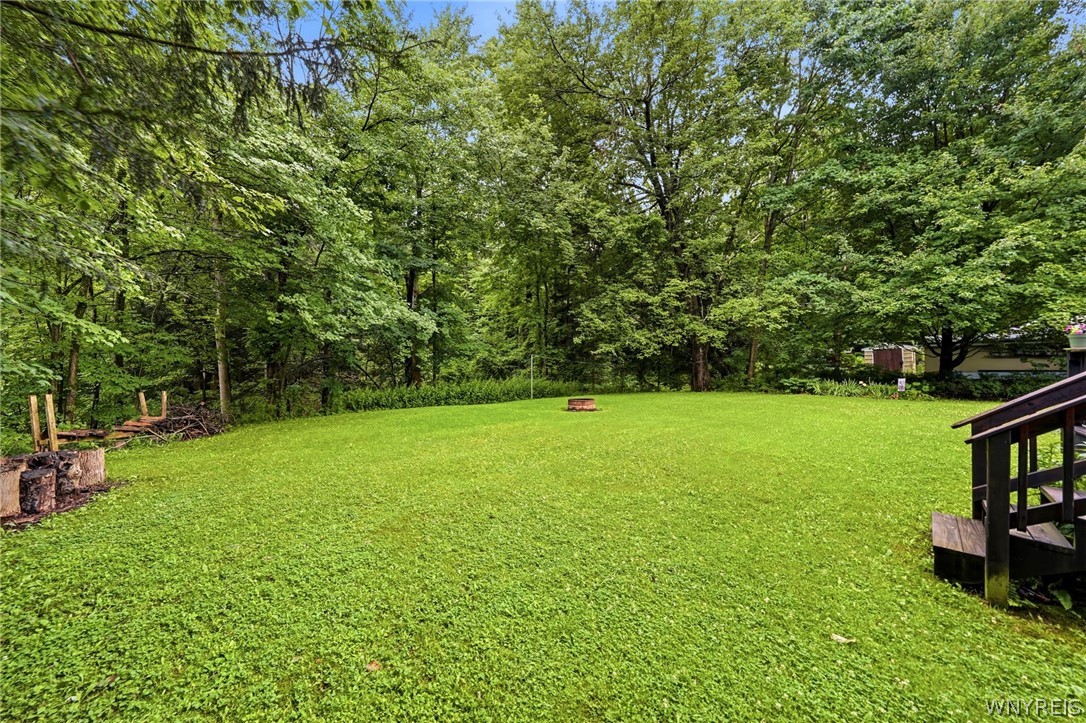 11683 Town Line Road Dayton, NY 14129 - Photo 4 of 47