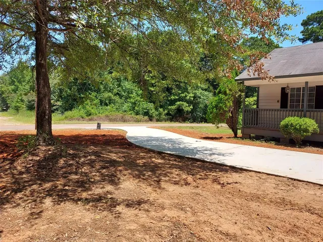 a view of a yard with plants and trees
