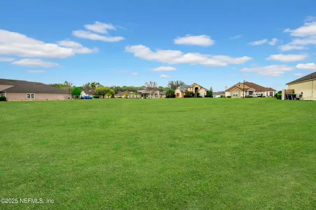 a view of a big yard with a large tree