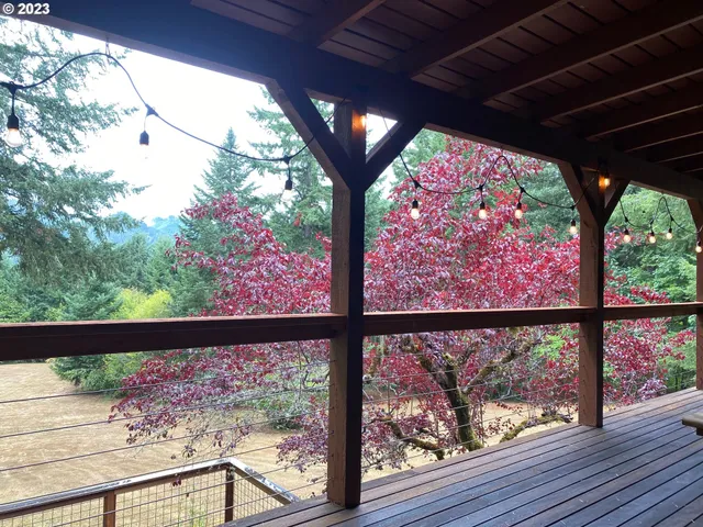 a view of trees and flowers from a window