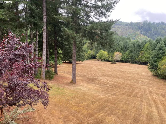 a view of a tree with a yard