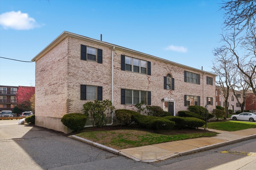 207 Lake Shore Road, Unit 2 Boston, MA 02135 - Photo 3 of 20 Gallery Image 3