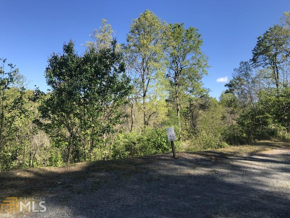 0 Winding Creek Road, Unit LOT 25 Blue Ridge, GA 30513 - Photo 1 of 1