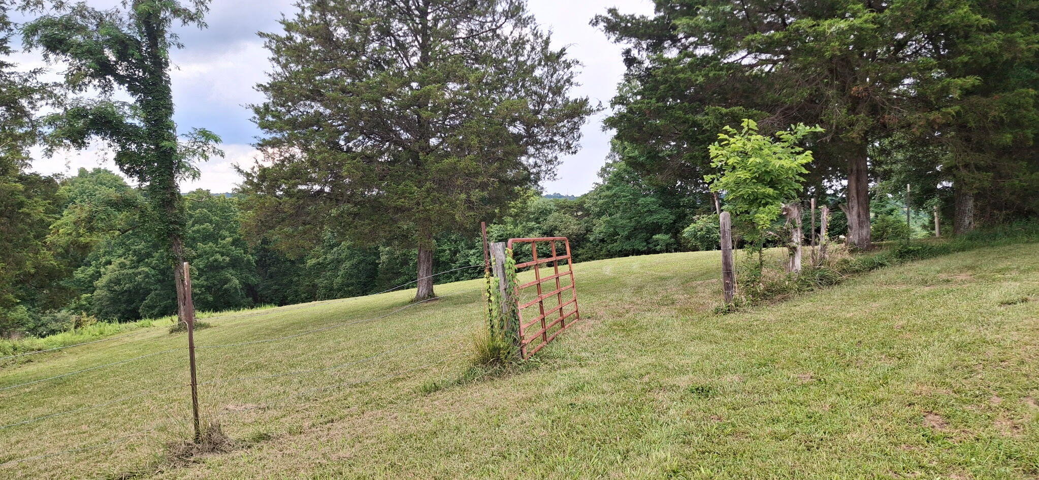 0 Tract 1 Cordova Road Williamstown, KY 41097 - Photo 5 of 7 1000054797
