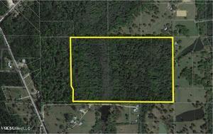 Firetower Rd Pass Pass Christian, MS 39571 - Photo 1 of 1 20210821053547243879000000