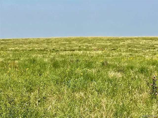 $528,750 | County Road, Vona, CO 80861