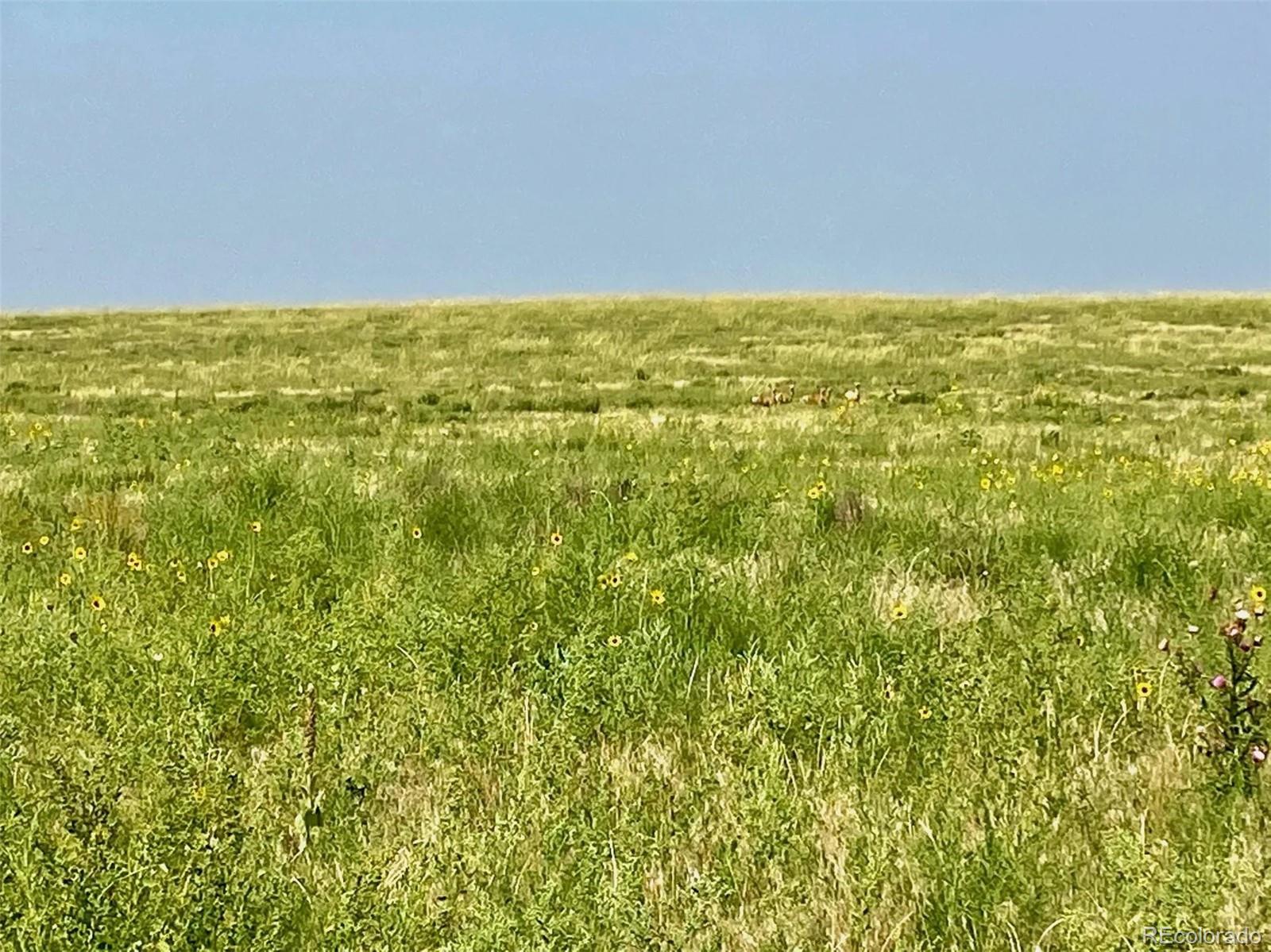 County Road Vona, CO 80861 - Photo 3 of 3