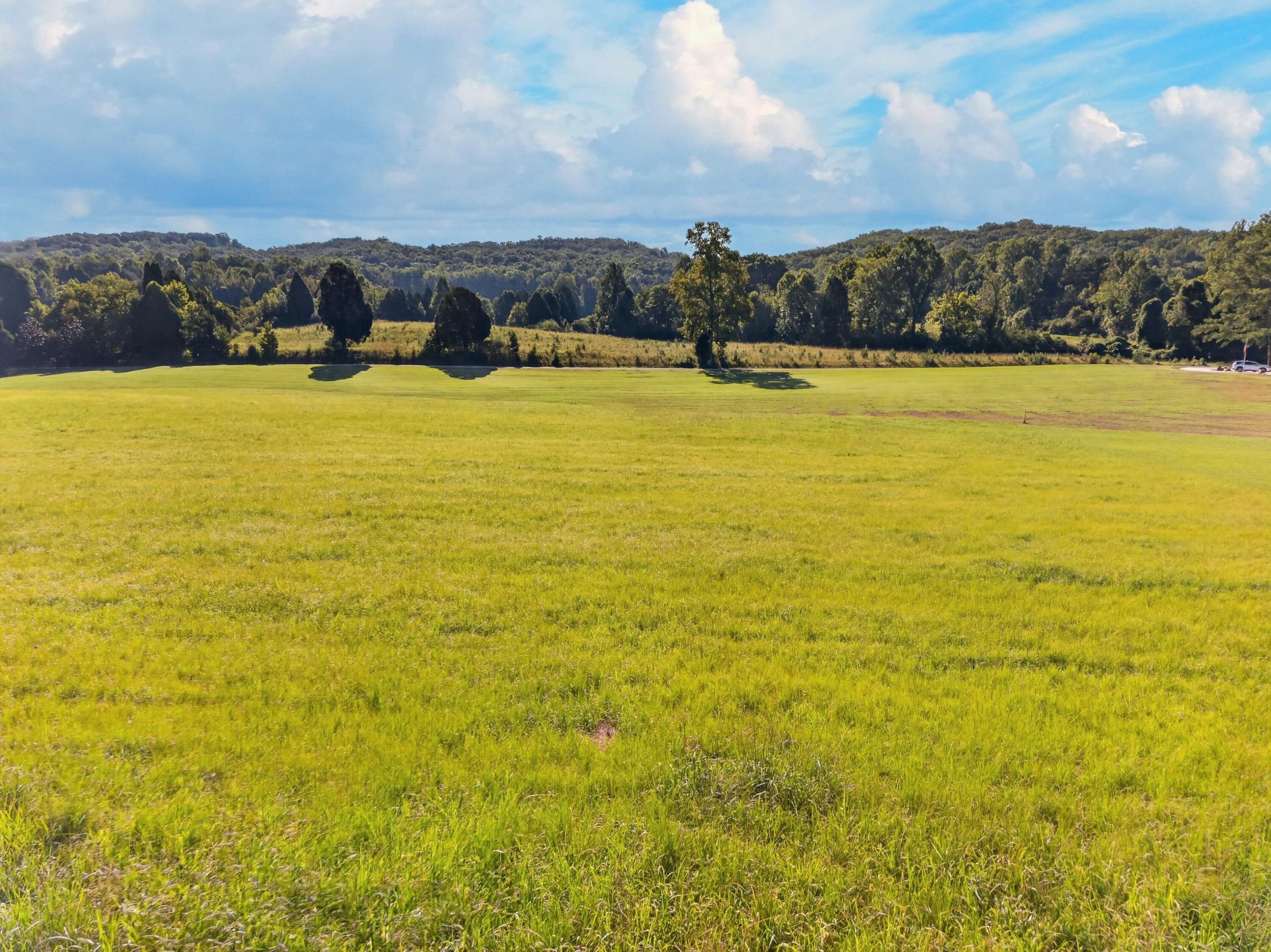 0 Spring Harbor Drive, Unit LOT 33 Spring City, TN 37381 - Photo 5 of 21 009-SpringHarborDrive