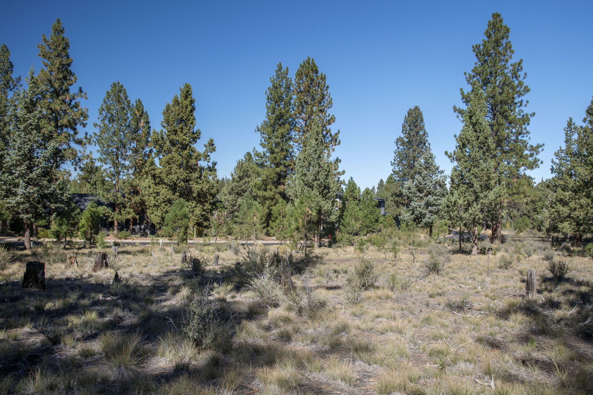 61482 Meeks Trail Bend, OR 97702 - Photo 7 of 11 61482 Meeks Trl