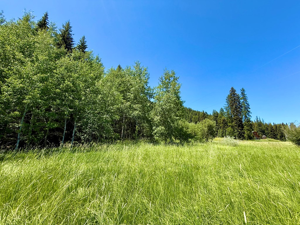 2267 West Mountain Road, Unit 8 Donnelly, ID 83615 - Photo 10 of 18
