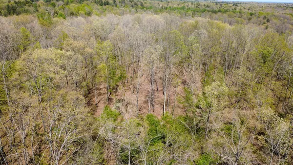 a view of a lake from a forest