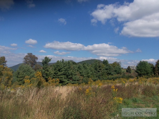 1 Macomb Ridge Road West Jefferson, NC 28694 - Photo 3 of 5 Gallery Image 3